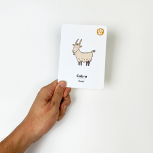 Ajuabá | Flashcard Colombia y Juegos Educativos para Niños - Aprendizaje Divertido