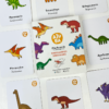 Ajuabá | Flashcard Colombia y Juegos Educativos para Niños - Aprendizaje Divertido